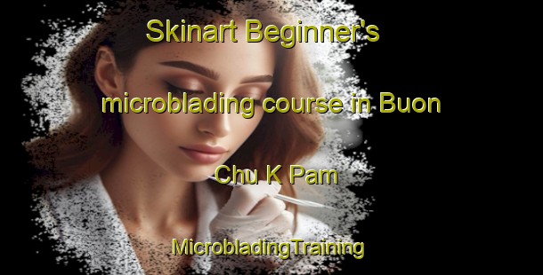 Skinart Beginner's microblading course in Buon Chu K Pam | #MicrobladingTraining #MicrobladingClasses #SkinartTraining-Vietnam