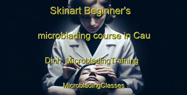 Skinart Beginner's microblading course in Cau Dinh | #MicrobladingTraining #MicrobladingClasses #SkinartTraining-Vietnam