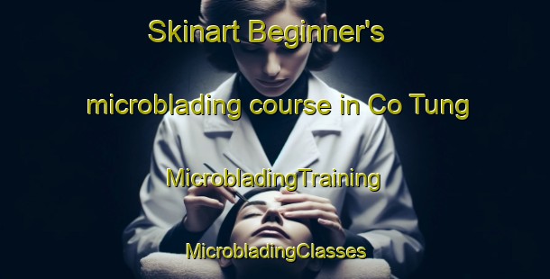 Skinart Beginner's microblading course in Co Tung | #MicrobladingTraining #MicrobladingClasses #SkinartTraining-Vietnam