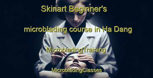 Skinart Beginner's microblading course in Ha Dang | #MicrobladingTraining #MicrobladingClasses #SkinartTraining-Vietnam