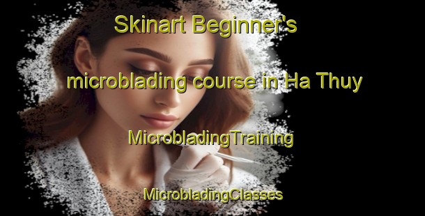 Skinart Beginner's microblading course in Ha Thuy | #MicrobladingTraining #MicrobladingClasses #SkinartTraining-Vietnam