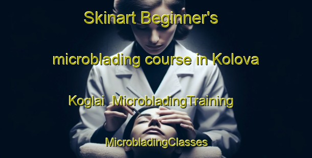 Skinart Beginner's microblading course in Kolova Koglai | #MicrobladingTraining #MicrobladingClasses #SkinartTraining-Vietnam