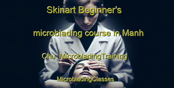 Skinart Beginner's microblading course in Manh Chu | MicrobladingTraining | MicrobladingClasses | SkinartTraining-Vietnam