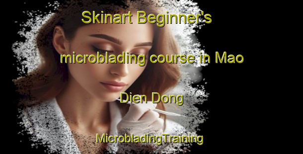 Skinart Beginner's microblading course in Mao Dien Dong | #MicrobladingTraining #MicrobladingClasses #SkinartTraining-Vietnam