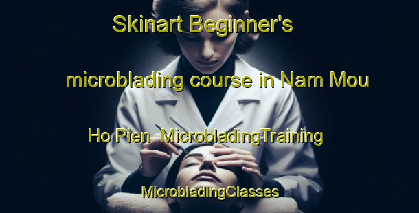 Skinart Beginner's microblading course in Nam Mou Ho Pien | #MicrobladingTraining #MicrobladingClasses #SkinartTraining-Vietnam