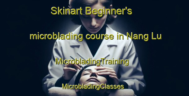 Skinart Beginner's microblading course in Nang Lu | MicrobladingTraining | MicrobladingClasses | SkinartTraining-Vietnam