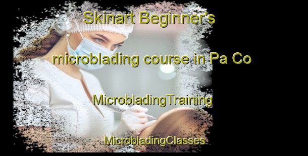 Skinart Beginner's microblading course in Pa Co | #MicrobladingTraining #MicrobladingClasses #SkinartTraining-Vietnam