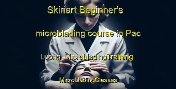 Skinart Beginner's microblading course in Pac Luong | #MicrobladingTraining #MicrobladingClasses #SkinartTraining-Vietnam