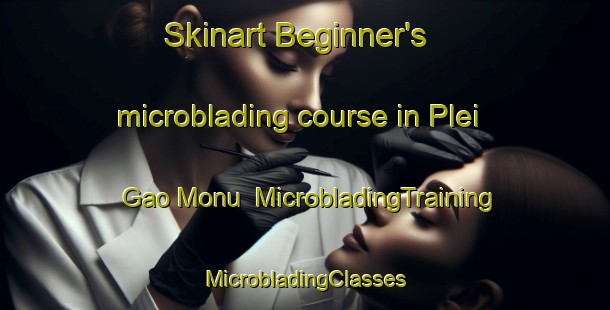 Skinart Beginner's microblading course in Plei Gao Monu | #MicrobladingTraining #MicrobladingClasses #SkinartTraining-Vietnam