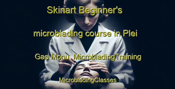 Skinart Beginner's microblading course in Plei Gao Monu | #MicrobladingTraining #MicrobladingClasses #SkinartTraining-Vietnam