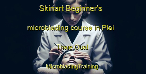 Skinart Beginner's microblading course in Plei Thaie Oual | #MicrobladingTraining #MicrobladingClasses #SkinartTraining-Vietnam