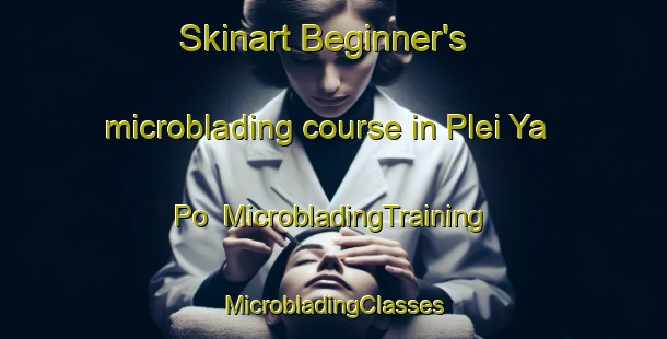 Skinart Beginner's microblading course in Plei Ya Po | #MicrobladingTraining #MicrobladingClasses #SkinartTraining-Vietnam