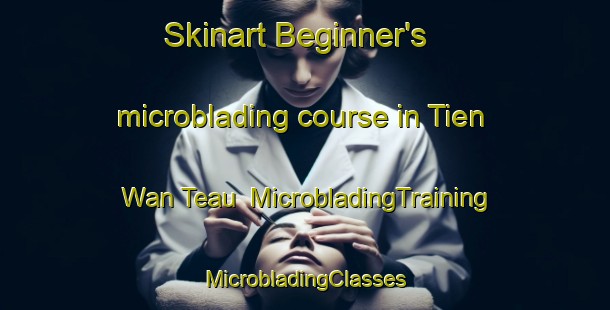 Skinart Beginner's microblading course in Tien Wan Teau | #MicrobladingTraining #MicrobladingClasses #SkinartTraining-Vietnam