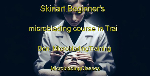 Skinart Beginner's microblading course in Trai Den | #MicrobladingTraining #MicrobladingClasses #SkinartTraining-Vietnam