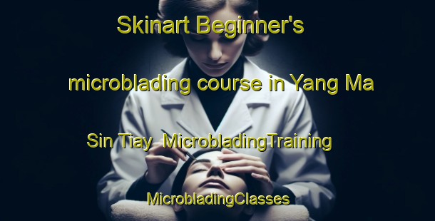 Skinart Beginner's microblading course in Yang Ma Sin Tiay | #MicrobladingTraining #MicrobladingClasses #SkinartTraining-Vietnam