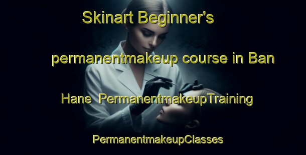 Skinart Beginner's permanentmakeup course in Ban Hane | PermanentmakeupTraining | PermanentmakeupClasses | SkinartTraining-Vietnam