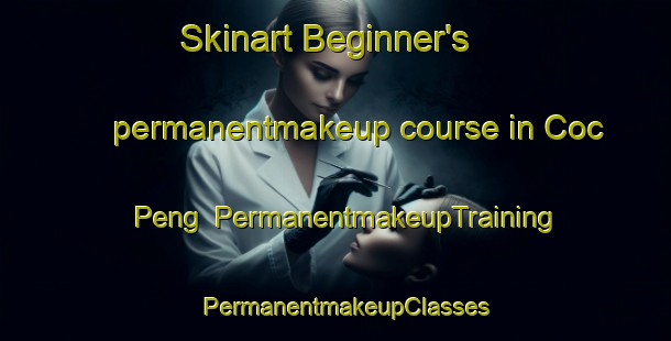 Skinart Beginner's permanentmakeup course in Coc Peng | PermanentmakeupTraining | PermanentmakeupClasses | SkinartTraining-Vietnam