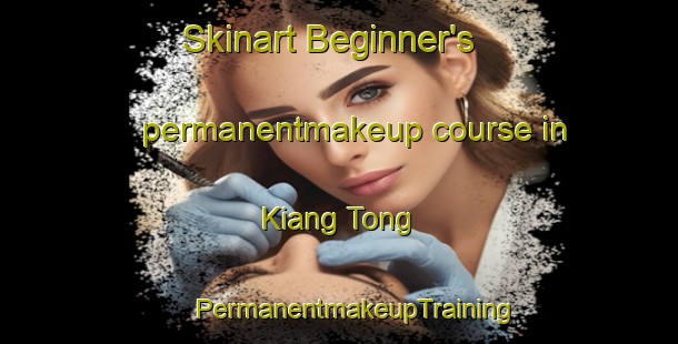 Skinart Beginner's permanentmakeup course in Kiang Tong | #PermanentmakeupTraining #PermanentmakeupClasses #SkinartTraining-Vietnam