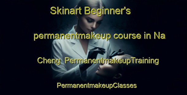 Skinart Beginner's permanentmakeup course in Na Cheng | PermanentmakeupTraining | PermanentmakeupClasses | SkinartTraining-Vietnam
