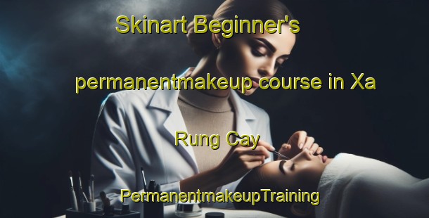 Skinart Beginner's permanentmakeup course in Xa Rung Cay | PermanentmakeupTraining | PermanentmakeupClasses | SkinartTraining-Vietnam