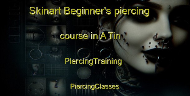 Skinart Beginner's piercing course in A Tin | #PiercingTraining #PiercingClasses #SkinartTraining-Vietnam