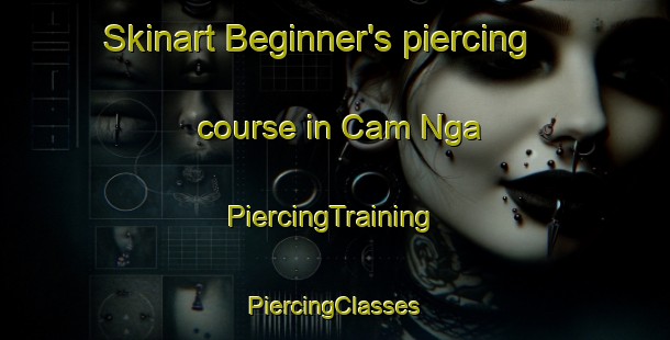 Skinart Beginner's piercing course in Cam Nga | #PiercingTraining #PiercingClasses #SkinartTraining-Vietnam