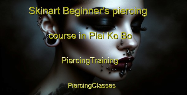 Skinart Beginner's piercing course in Plei Ko Bo | PiercingTraining | PiercingClasses | SkinartTraining-Vietnam