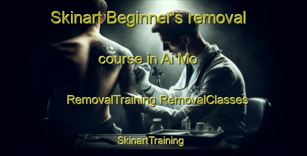 Skinart Beginner's removal course in Ai Mo | #RemovalTraining #RemovalClasses #SkinartTraining-Vietnam