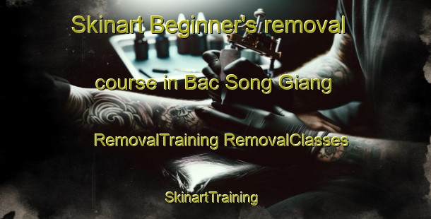 Skinart Beginner's removal course in Bac Song Giang | #RemovalTraining #RemovalClasses #SkinartTraining-Vietnam