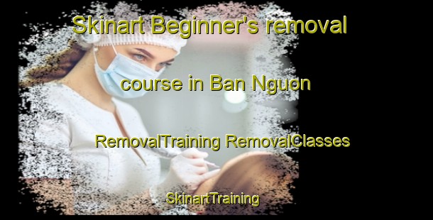 Skinart Beginner's removal course in Ban Nguon | #RemovalTraining #RemovalClasses #SkinartTraining-Vietnam