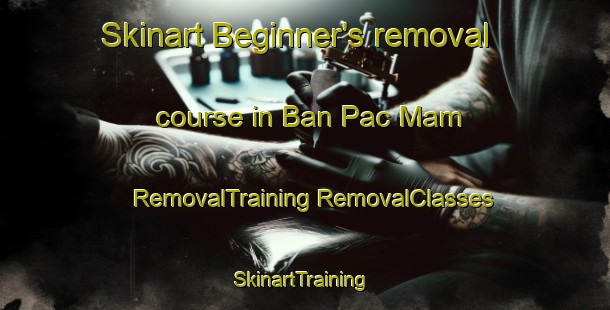 Skinart Beginner's removal course in Ban Pac Mam | #RemovalTraining #RemovalClasses #SkinartTraining-Vietnam