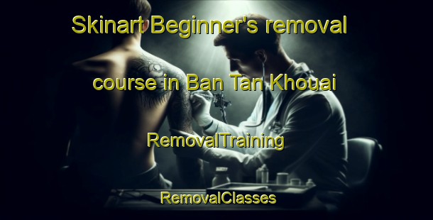 Skinart Beginner's removal course in Ban Tan Khouai | RemovalTraining | RemovalClasses | SkinartTraining-Vietnam