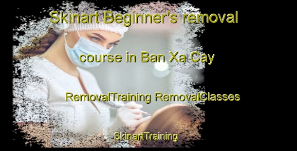 Skinart Beginner's removal course in Ban Xa Cay | #RemovalTraining #RemovalClasses #SkinartTraining-Vietnam