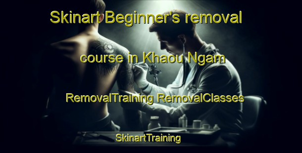 Skinart Beginner's removal course in Khaou Ngam | #RemovalTraining #RemovalClasses #SkinartTraining-Vietnam