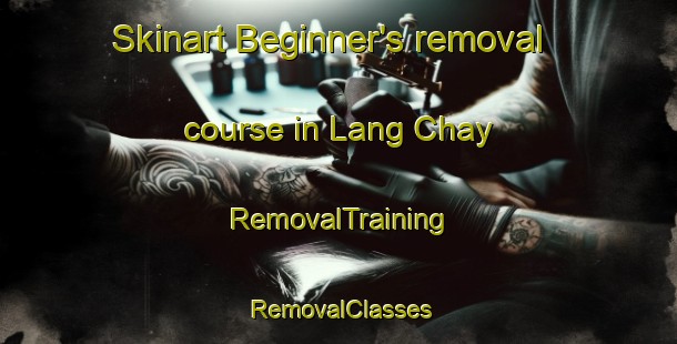 Skinart Beginner's removal course in Lang Chay | RemovalTraining | RemovalClasses | SkinartTraining-Vietnam