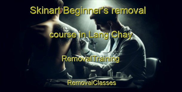 Skinart Beginner's removal course in Lang Chay | RemovalTraining | RemovalClasses | SkinartTraining-Vietnam