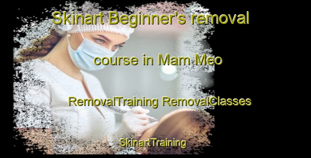 Skinart Beginner's removal course in Mam Meo | #RemovalTraining #RemovalClasses #SkinartTraining-Vietnam