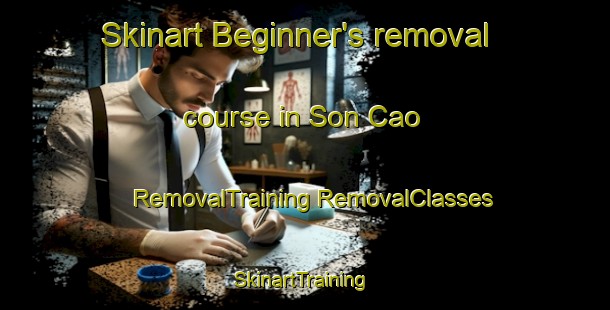 Skinart Beginner's removal course in Son Cao | #RemovalTraining #RemovalClasses #SkinartTraining-Vietnam