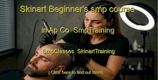 Skinart Beginner's smp course in Ap Co | SmpTraining | SmpClasses | SkinartTraining-Vietnam