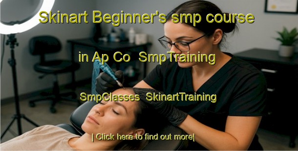 Skinart Beginner's smp course in Ap Co | SmpTraining | SmpClasses | SkinartTraining-Vietnam