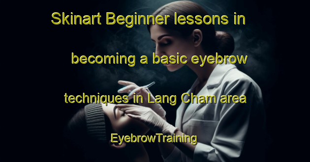 Skinart Beginner lessons in becoming a basic eyebrow techniques in Lang Cham area | EyebrowTraining | EyebrowClasses | SkinartTraining-Vietnam