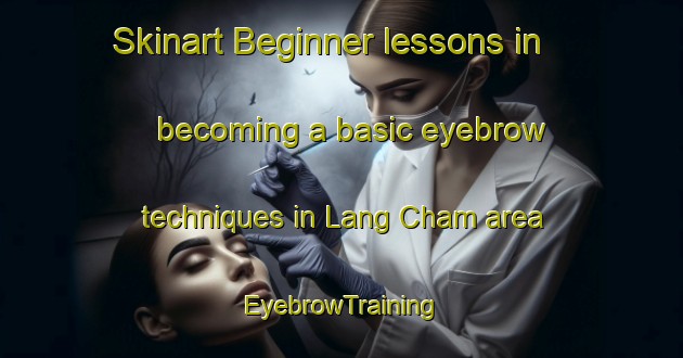 Skinart Beginner lessons in becoming a basic eyebrow techniques in Lang Cham area | EyebrowTraining | EyebrowClasses | SkinartTraining-Vietnam