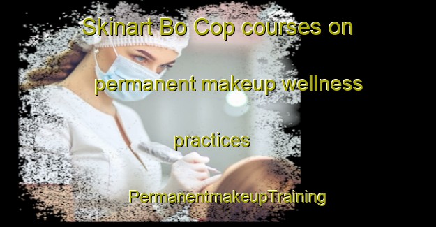 Skinart Bo Cop courses on permanent makeup wellness practices | #PermanentmakeupTraining #PermanentmakeupClasses #SkinartTraining-Vietnam