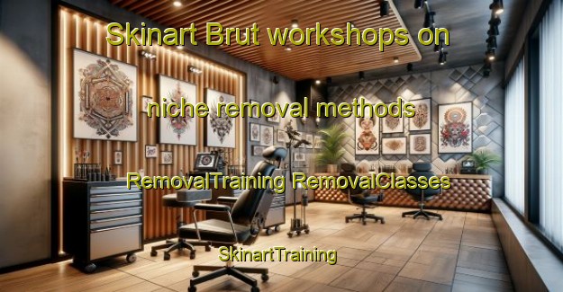 Skinart Brut workshops on niche removal methods | #RemovalTraining #RemovalClasses #SkinartTraining-Vietnam