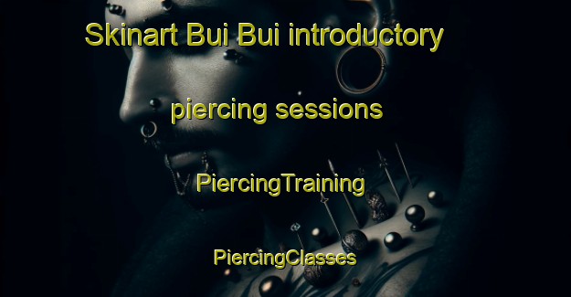 Skinart Bui Bui introductory piercing sessions | #PiercingTraining #PiercingClasses #SkinartTraining-Vietnam