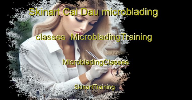 Skinart Cai Dau microblading classes | #MicrobladingTraining #MicrobladingClasses #SkinartTraining-Vietnam