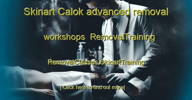 Skinart Calok advanced removal workshops | #RemovalTraining #RemovalClasses #SkinartTraining-Vietnam