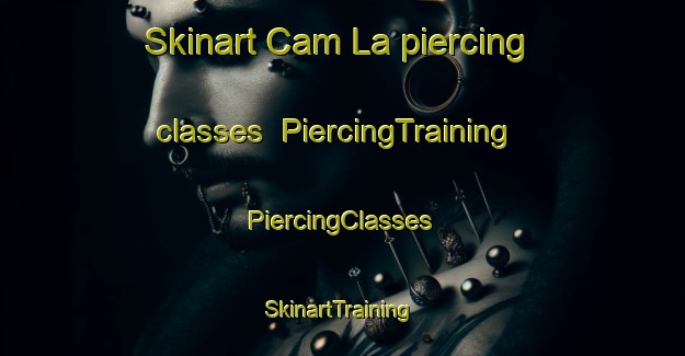 Skinart Cam La piercing classes | #PiercingTraining #PiercingClasses #SkinartTraining-Vietnam