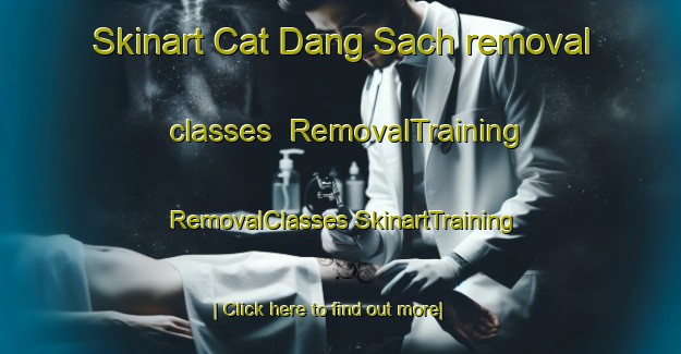 Skinart Cat Dang Sach removal classes | #RemovalTraining #RemovalClasses #SkinartTraining-Vietnam