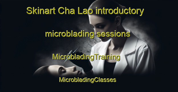 Skinart Cha Lao introductory microblading sessions | MicrobladingTraining | MicrobladingClasses | SkinartTraining-Vietnam